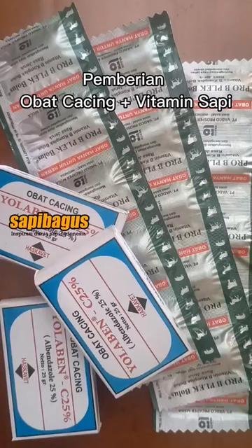 Pemberian-Obat-Cacing-+-Vitamin-Sapi